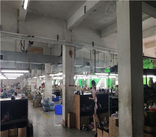 福州市培訓(xùn)學(xué)校房屋安全鑒定住建局認可單位 新聞聯(lián)播