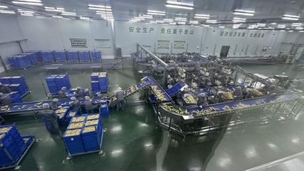 當(dāng)“北緯47°”遇上“耕地大熊貓” 企業(yè)培訓(xùn)助力可持續(xù)農(nóng)業(yè)高質(zhì)量發(fā)展